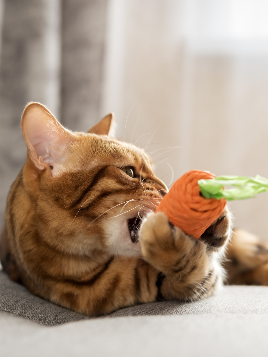 Carrot Shaped Sisal Interactive Cat Toy